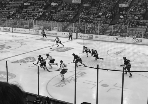 Auto generated site figure skating school