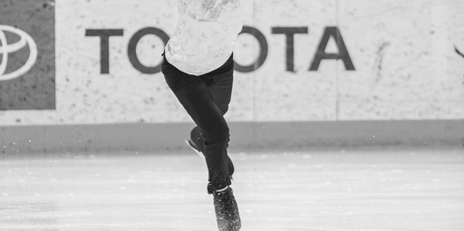 Auto generated site figure skating school